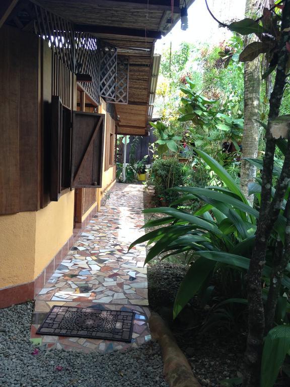 La Casa De Rolando Villa Puerto Viejo de Talamanca Exterior foto