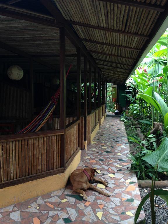 La Casa De Rolando Villa Puerto Viejo de Talamanca Exterior foto