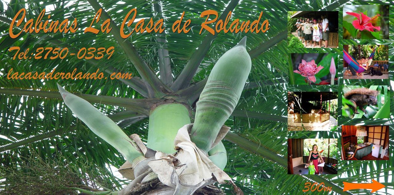 La Casa De Rolando Villa Puerto Viejo de Talamanca Exterior foto
